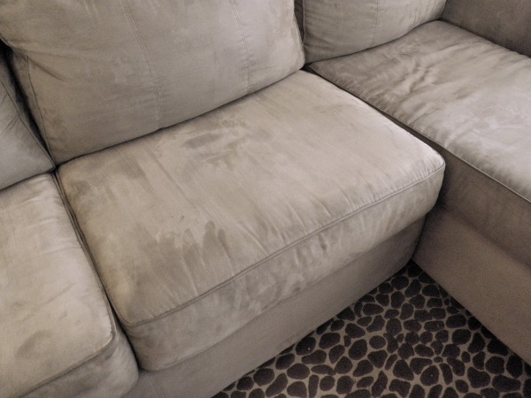Microfiber Sofa After Cleaning